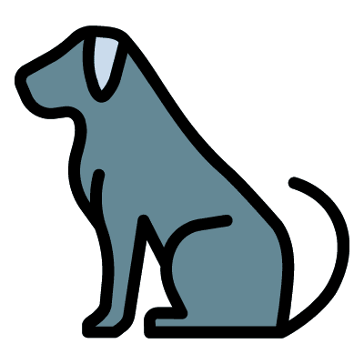 Pet@4x